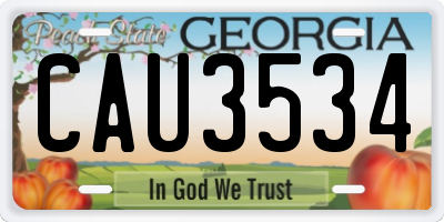 GA license plate CAU3534