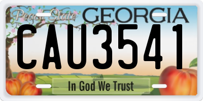 GA license plate CAU3541