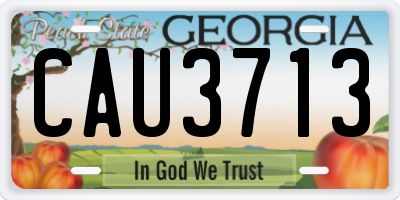 GA license plate CAU3713