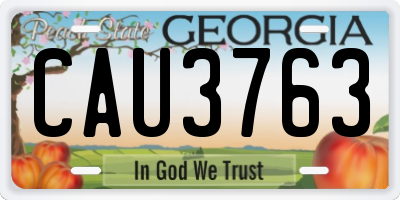 GA license plate CAU3763