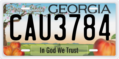 GA license plate CAU3784