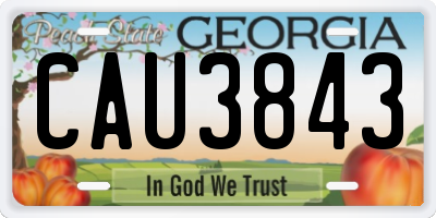GA license plate CAU3843