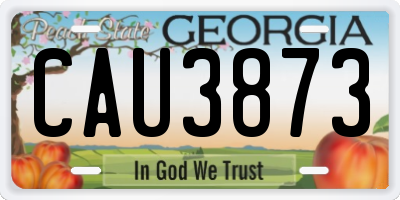 GA license plate CAU3873