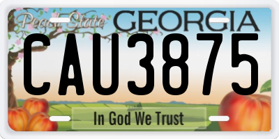 GA license plate CAU3875