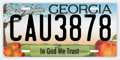 GA license plate CAU3878