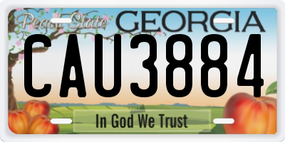 GA license plate CAU3884