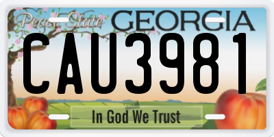 GA license plate CAU3981