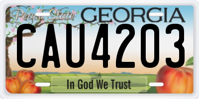 GA license plate CAU4203