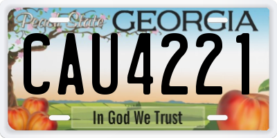 GA license plate CAU4221