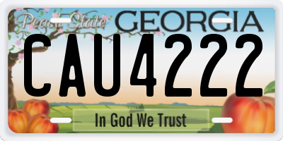 GA license plate CAU4222