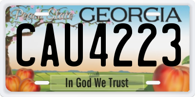 GA license plate CAU4223