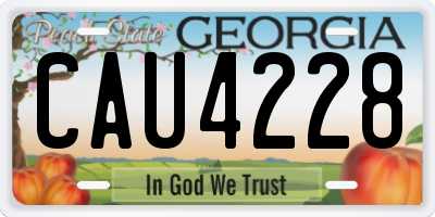 GA license plate CAU4228