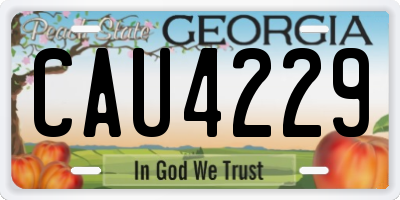 GA license plate CAU4229