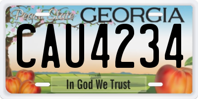 GA license plate CAU4234