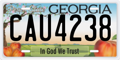 GA license plate CAU4238