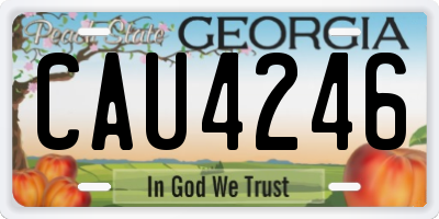 GA license plate CAU4246