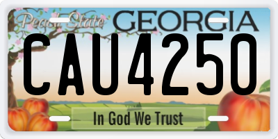 GA license plate CAU4250