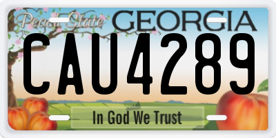 GA license plate CAU4289