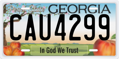 GA license plate CAU4299