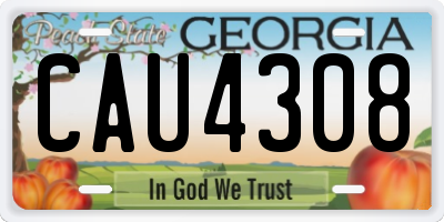 GA license plate CAU4308