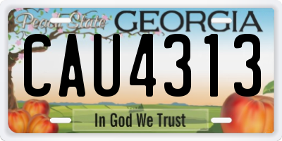 GA license plate CAU4313