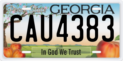 GA license plate CAU4383