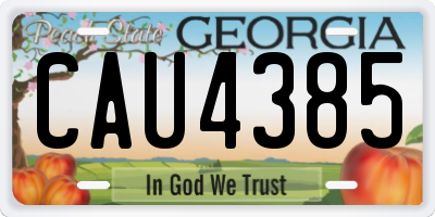 GA license plate CAU4385