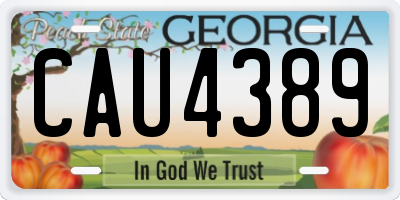 GA license plate CAU4389