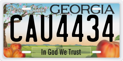 GA license plate CAU4434
