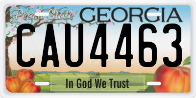 GA license plate CAU4463