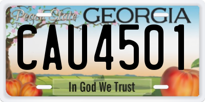 GA license plate CAU4501