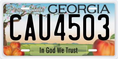 GA license plate CAU4503