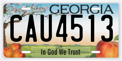 GA license plate CAU4513