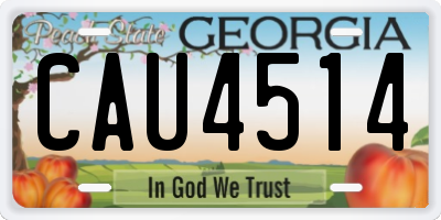 GA license plate CAU4514