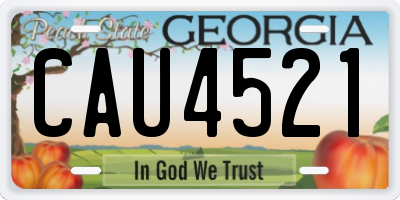 GA license plate CAU4521