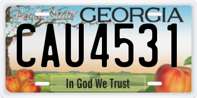 GA license plate CAU4531