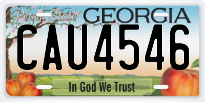 GA license plate CAU4546