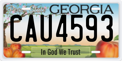 GA license plate CAU4593