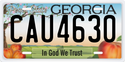 GA license plate CAU4630