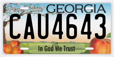 GA license plate CAU4643
