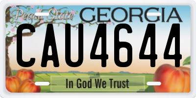 GA license plate CAU4644