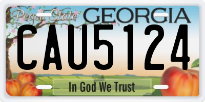 GA license plate CAU5124