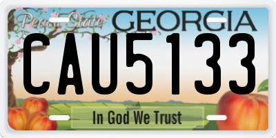 GA license plate CAU5133