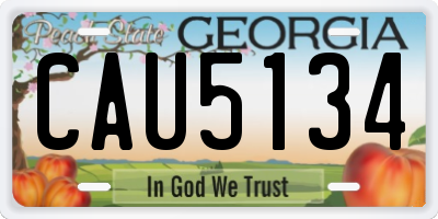 GA license plate CAU5134