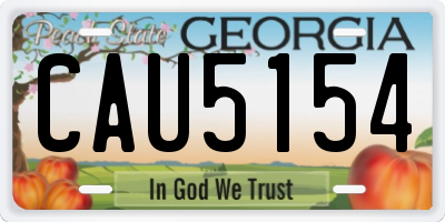 GA license plate CAU5154