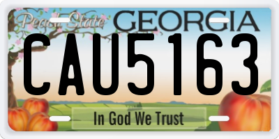 GA license plate CAU5163