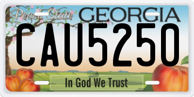 GA license plate CAU5250
