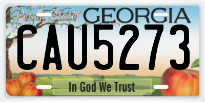 GA license plate CAU5273