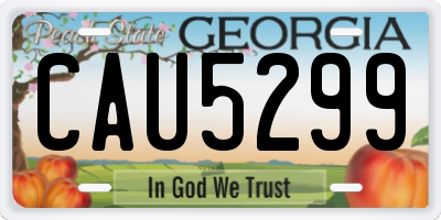 GA license plate CAU5299