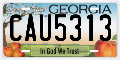 GA license plate CAU5313